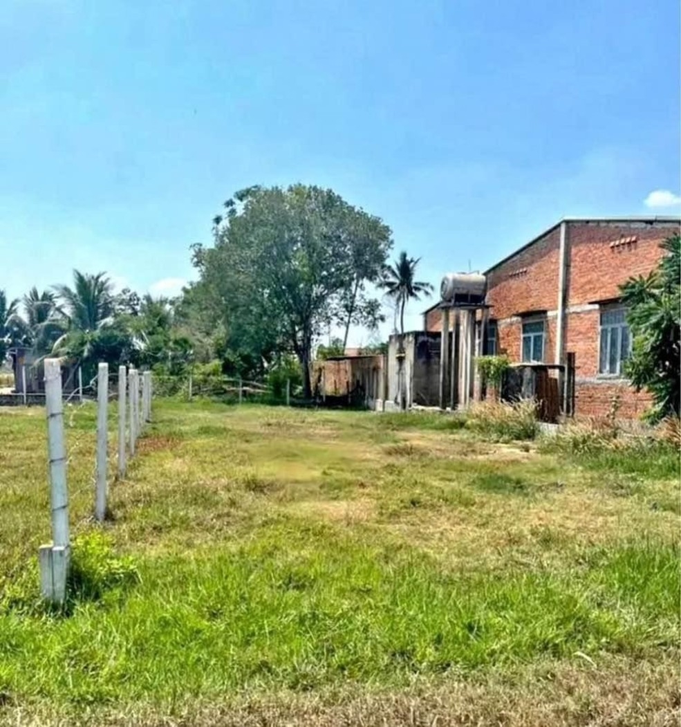 Lô đất nhà vườn Xã Đại Hiệp 210m² giá 850 triệu - Đầu tư sinh lời ngay!