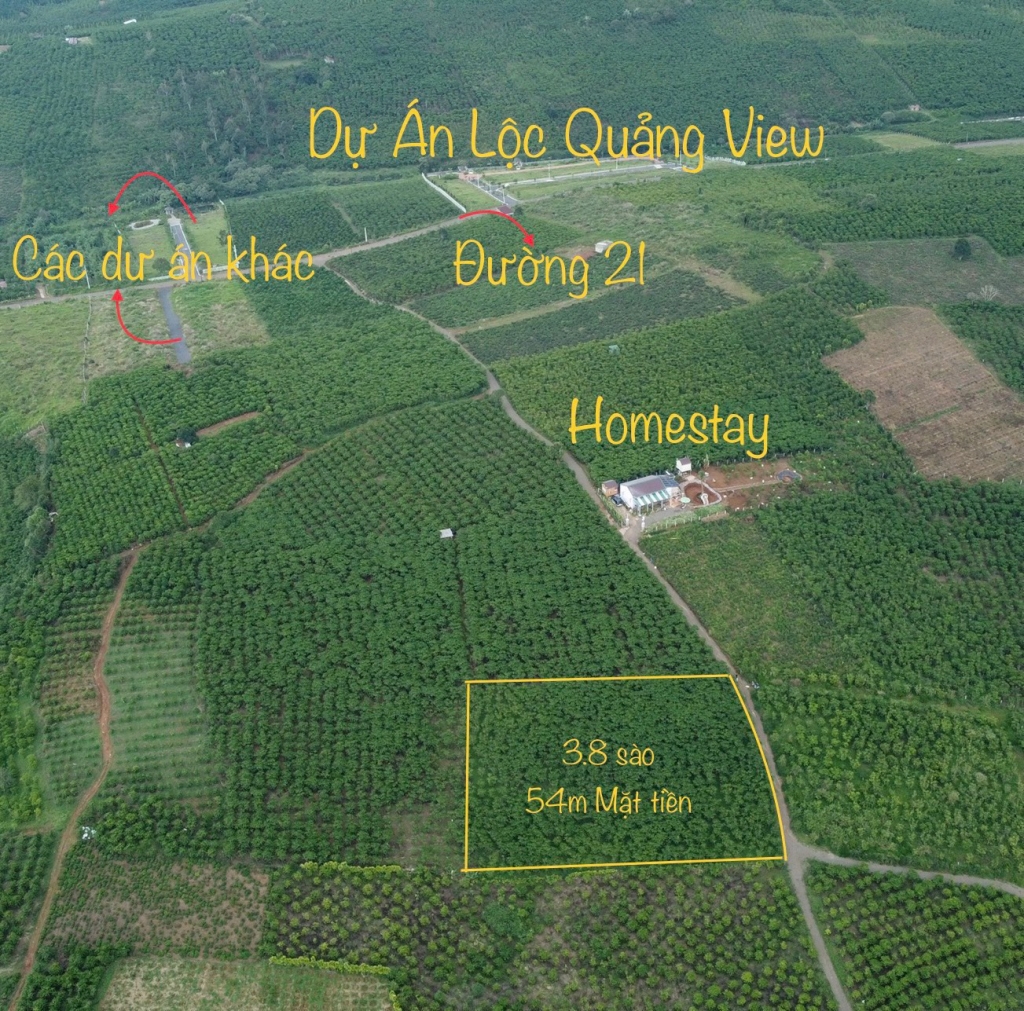 Đất nền Lộc Quảng, Bảo Lâm 3.816m² giá chỉ 2.5 tỷ - Cơ hội đầu tư hấp dẫn!