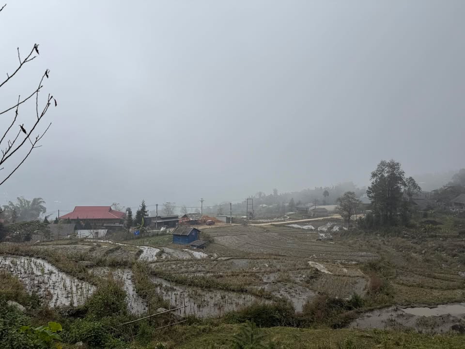 Đất nền đẹp Tả Van, Sa Pa 1.000m² - View ruộng bậc thang tuyệt đẹp!