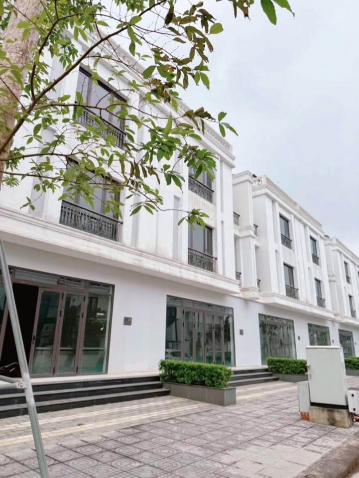 Shophouse Vinhheritage 156m² giá 8 tỷ - Cơ hội đầu tư hấp dẫn!