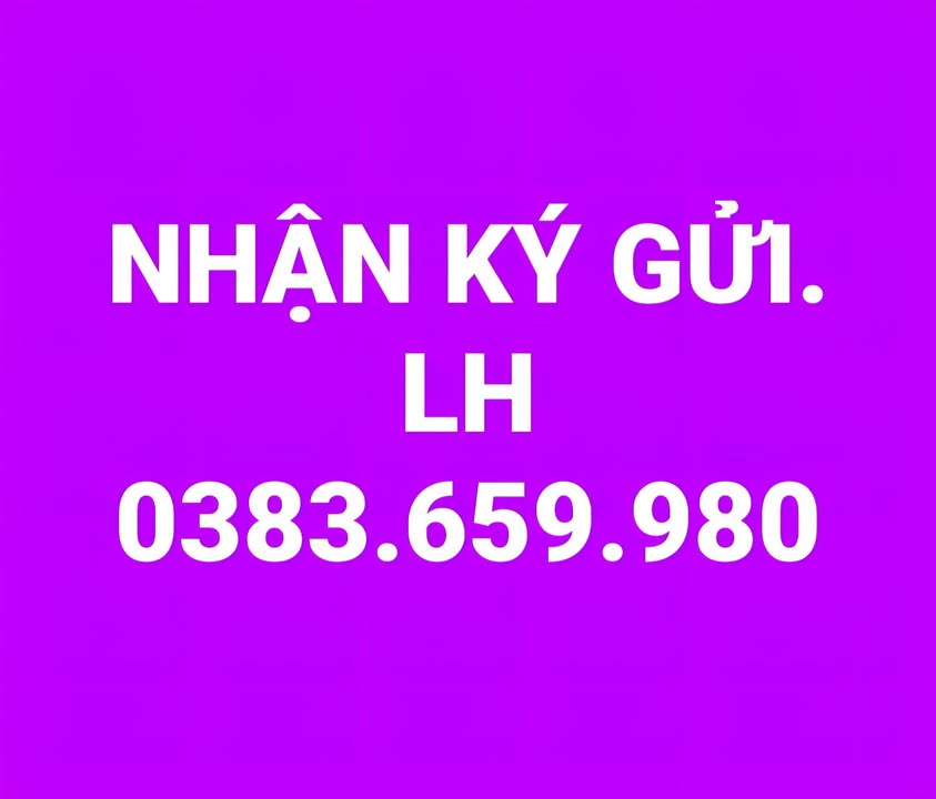 Căn hộ Green City Bắc Giang cho thuê từ 3 triệu - Nhanh tay liên hệ!