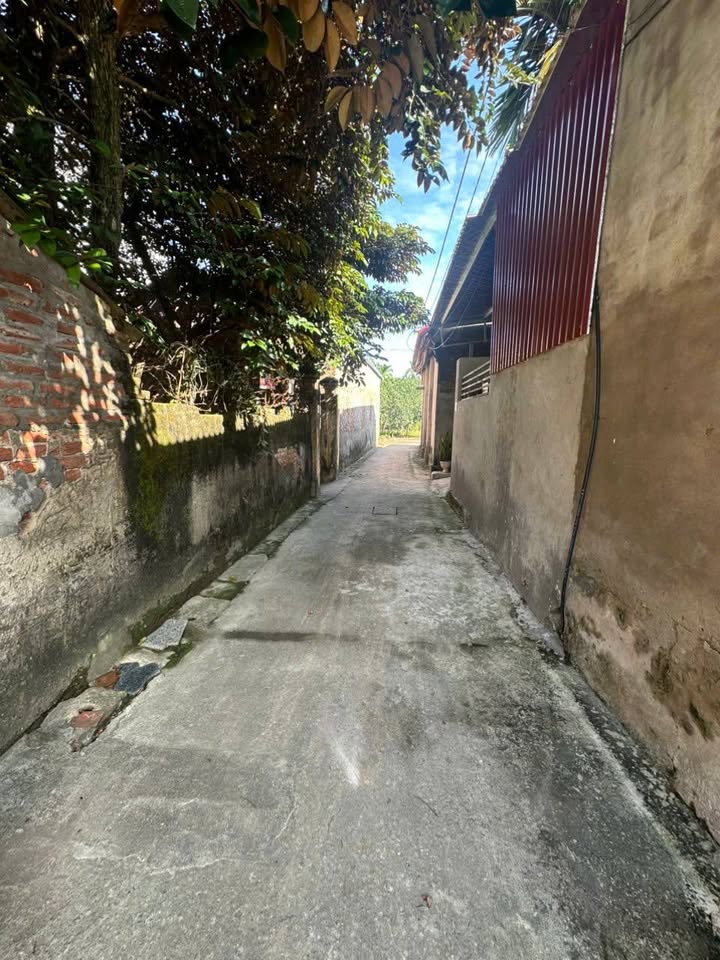 Đất nền Thọ Lộc Phúc Thọ 86m² giá đầu tư chỉ từ 20 triệu/m² - Chủ bán gấp!