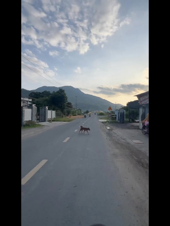 Đất nền Cam Phước Đông 60m² giá 750 triệu - Cơ hội đầu tư tốt!