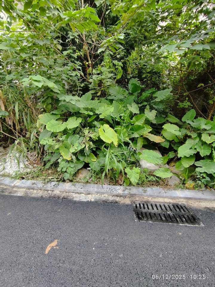 Đất nền Phúc Thịnh Đông Anh 50m² giá 4 tỷ - Ô tô vào tận đất!