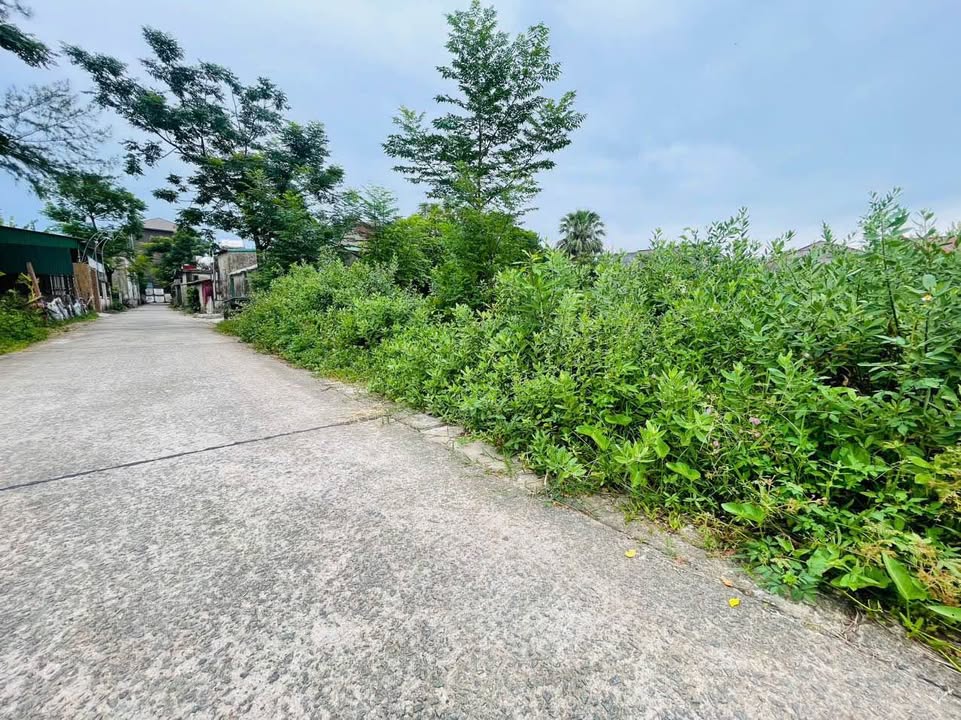 Đất nền Đại Nài, Hà Tĩnh 130m² giá 1.8 tỷ - Đầu tư tiềm năng!