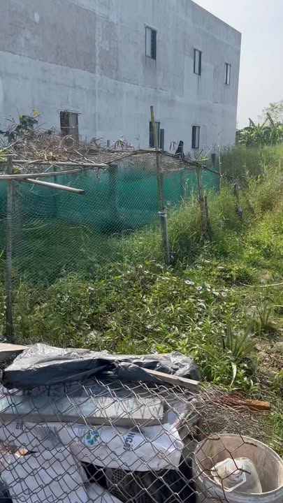 Đất thổ cư Mỹ Lộc, Cần Giuộc 105m² giá 810 triệu - Cơ hội đầu tư hấp dẫn!