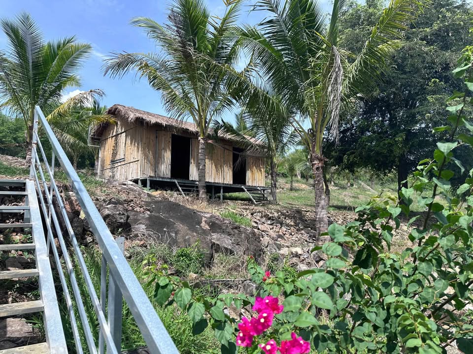 Nhà vườn Diên Hoà, Diên Khánh 12.500m² giá 22 tỷ - Đầu tư sinh lời cao!