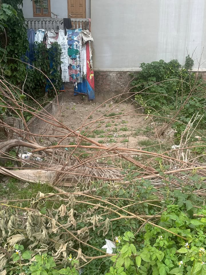 Đất thổ cư 40m² tại Đại Cát, Bắc Từ Liêm giá 4.8 tỷ - Vị trí đắc địa, đầu tư sinh lời!