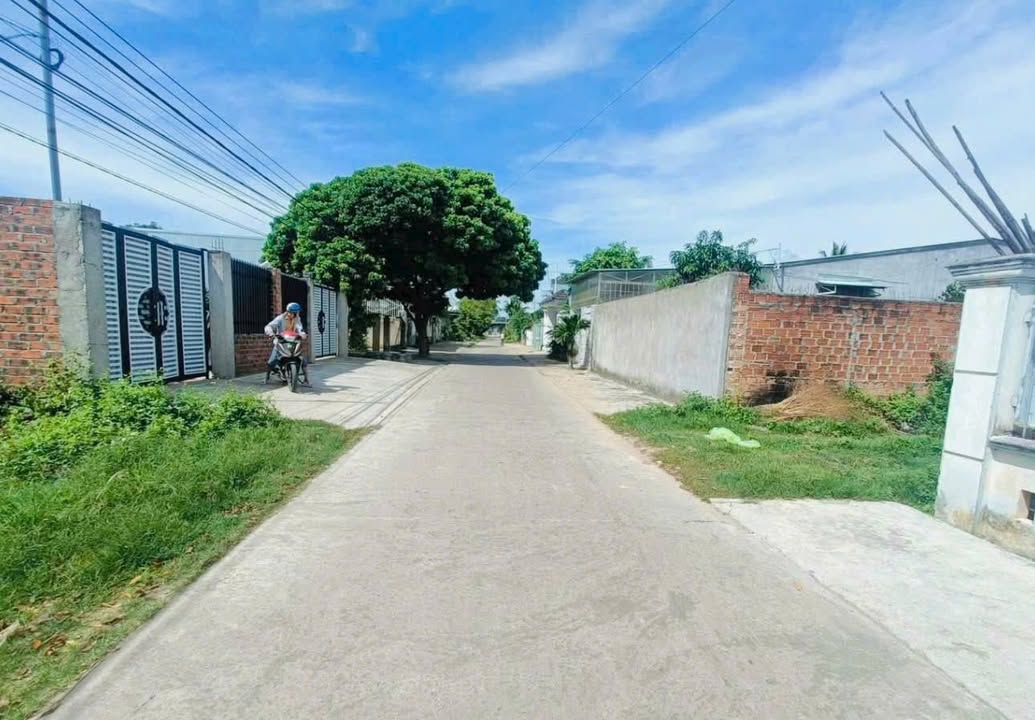 Đất nền đường Nguyễn Thông Xuân, phường Nguyễn Trãi 320m² chỉ 900 triệu - Cơ hội đầu tư lý tưởng!