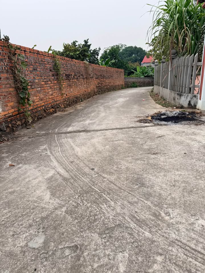 Đất nền thôn Muối, xã Lan Mẫu, 90m² - Giá hiếm trong khu vực phát triển!