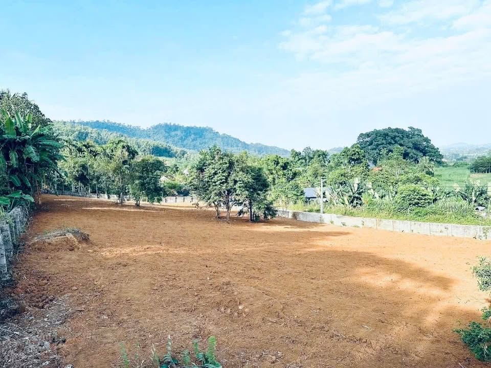 Đất nền xã Yên Bài, Ba Vì 200m² giá 930 triệu - Thích hợp đầu tư và nghỉ dưỡng!