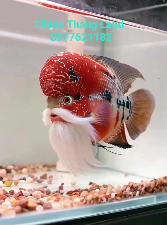 Đất nền Kim Bài Thanh Oai 41m² - Lô góc ô tô, giá thỏa thuận!