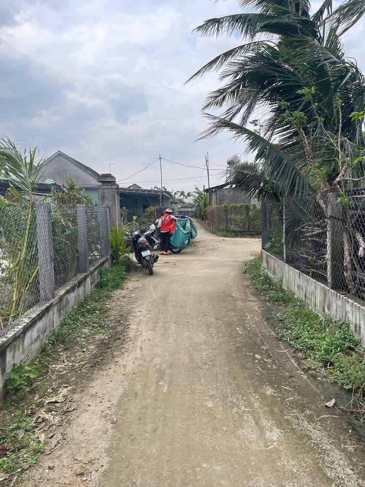 Đất thổ cư 100m² tại xã Cát Trinh, huyện Phù Cát chỉ 200 triệu - Cơ hội đầu tư hấp dẫn!