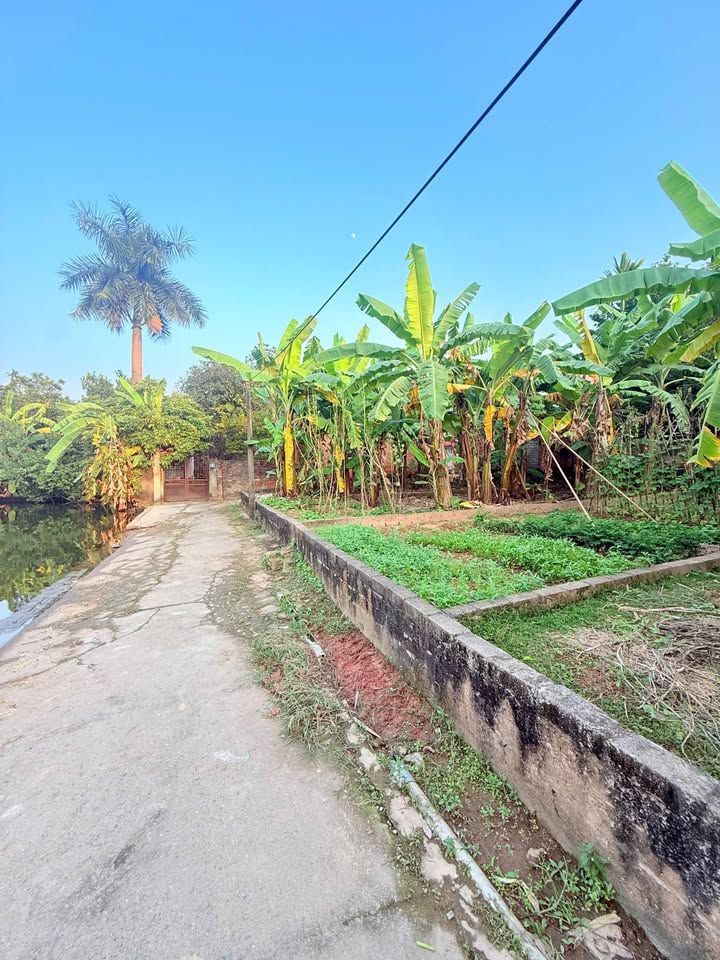 Đất nền Trạch Mỹ Lộc 70m² giá chỉ 2 triệu/m² - Ô tô đỗ cửa, view hồ