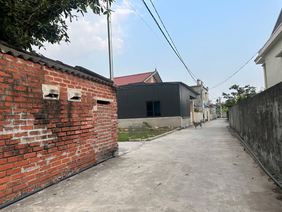 Đất nền thôn Đông Nham, Quốc Tuấn, An Lão 87m² giá chỉ 900 triệu - Cơ hội đầu tư tuyệt vời!