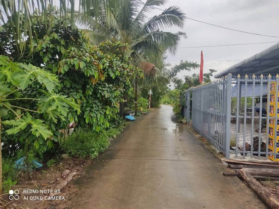 Đất nền phường Lý Văn Lâm 130m² giá chỉ 600 triệu - Vị trí giao thông thuận lợi!