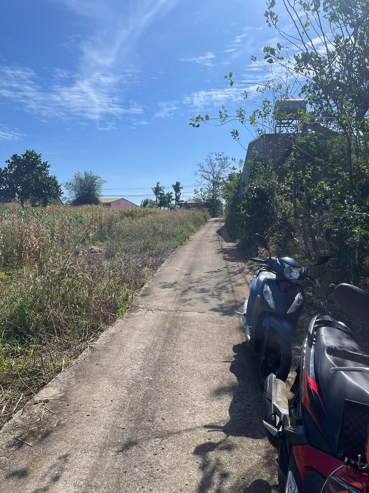 Đất nền thổ cư 2000m² tại thôn 6 Đắk Wer - Giá 800 triệu, nở hậu, đẹp