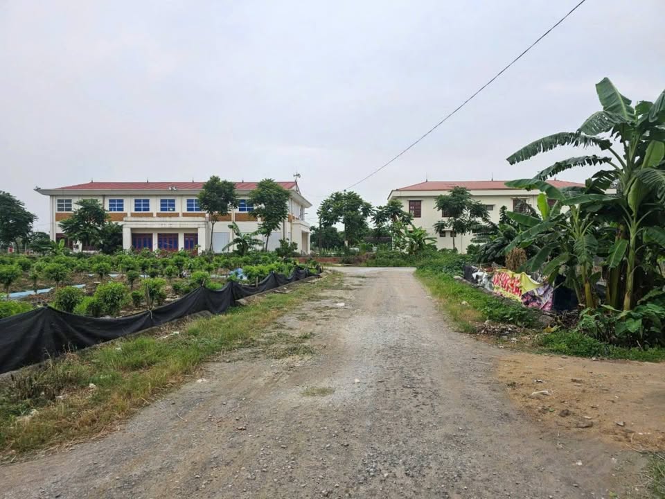 Đất nền Xuân Ổ B - Võ Cường, Bắc Ninh 85m² giá 3 tỷ - Cơ hội đầu tư tuyệt vời!