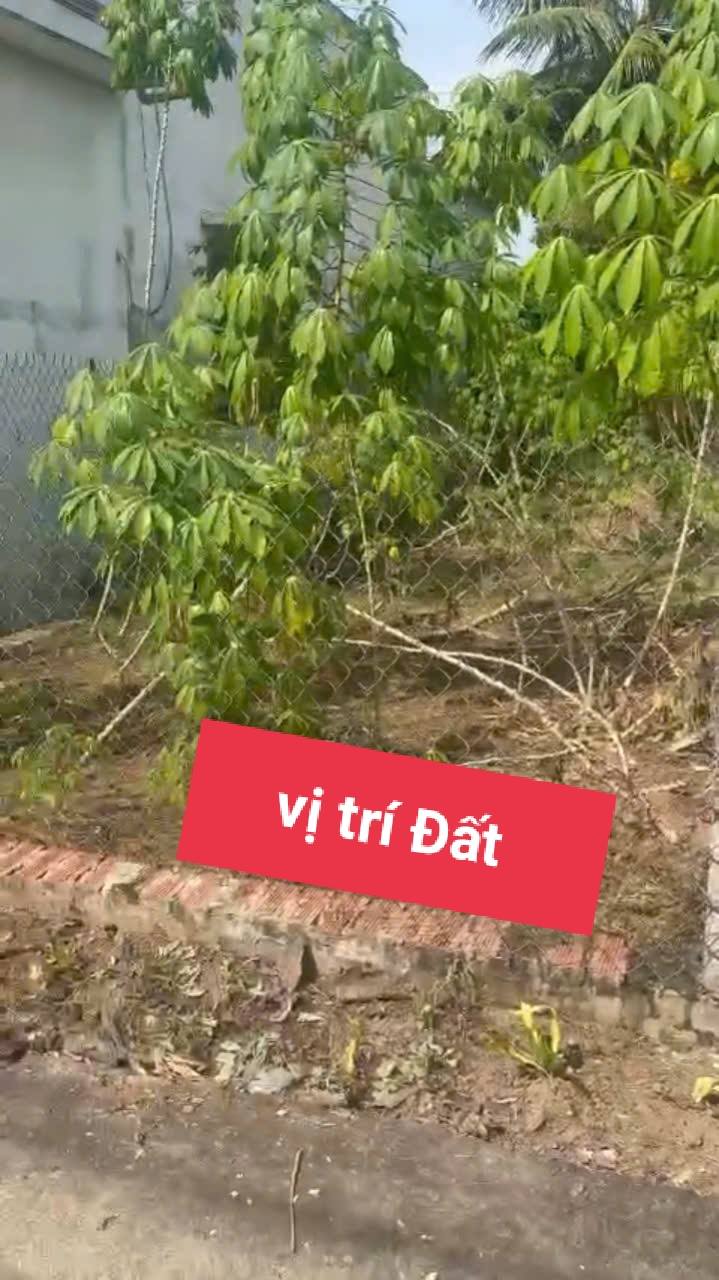 Đất nền thổ cư 133m² Cần Đước - Mặt tiền ô tô - Giá 1.2 tỷ