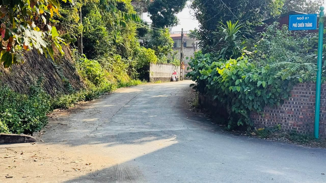 Đất nghỉ dưỡng 1000m² tại An Lạc, Chí Linh giá chỉ 1 tỷ - Cơ hội đầu tư hấp dẫn!