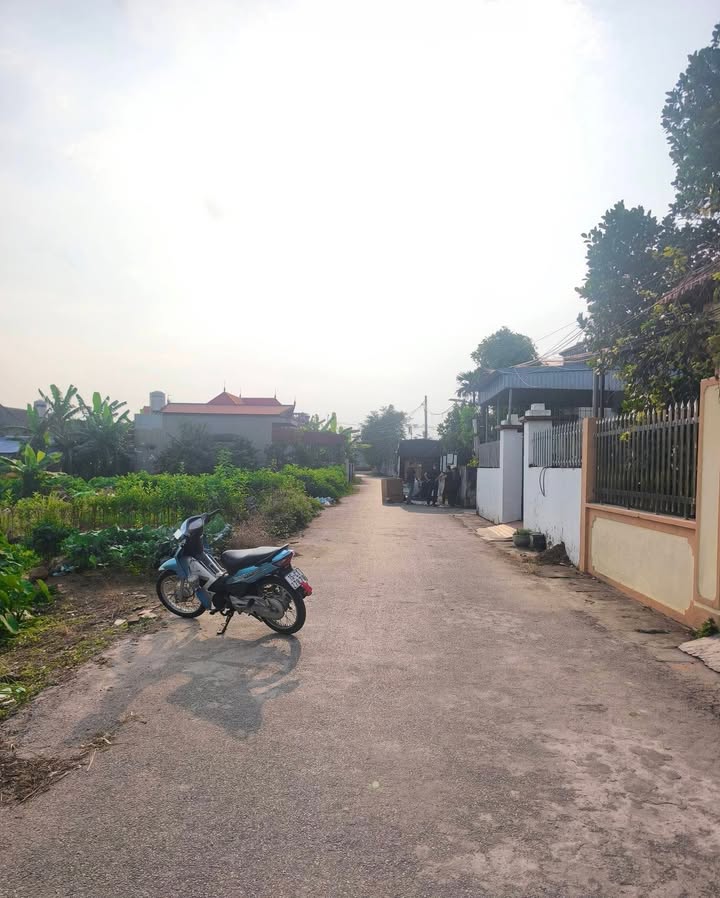 Đất đấu giá Ao Thôn Tiền Anh 205m² giá 3 tỷ - Cơ hội đầu tư không thể bỏ qua!