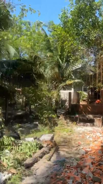 Đất nền mặt tiền Nguyễn Thông, La Gi, Bình Thuận 375m² giá 1 tỷ - Sổ hồng chính chủ!