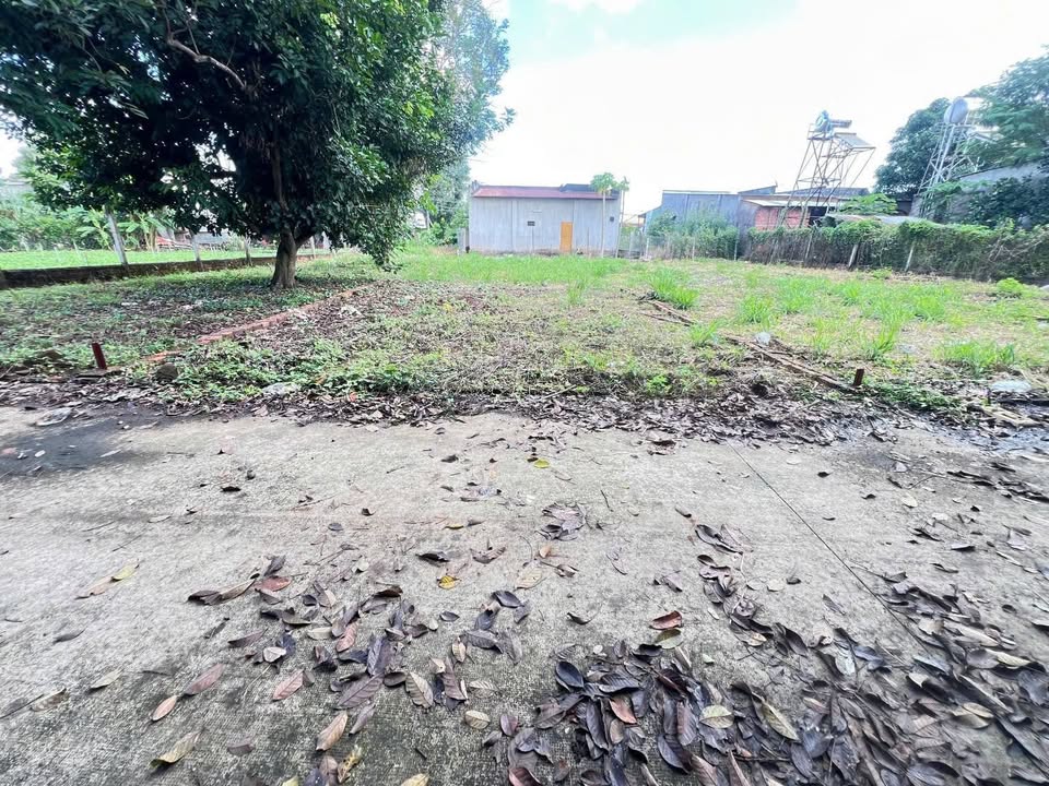 Đất thổ cư Xuân Phú 162.5m² giá chỉ 600 triệu - Cơ hội đầu tư tuyệt vời!