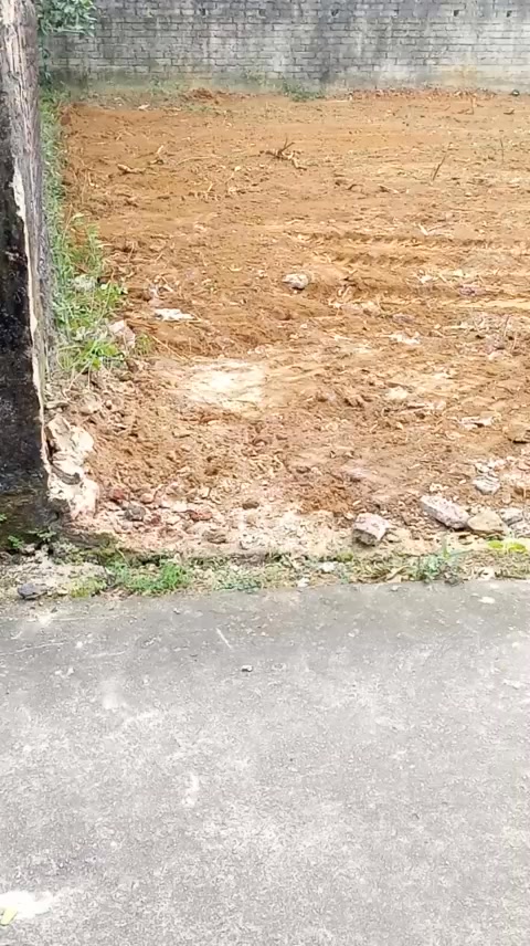 Đất thổ cư Thường Thắng Hiệp Hòa 134m² giá chỉ 700 triệu - Cơ hội đầu tư tuyệt vời!