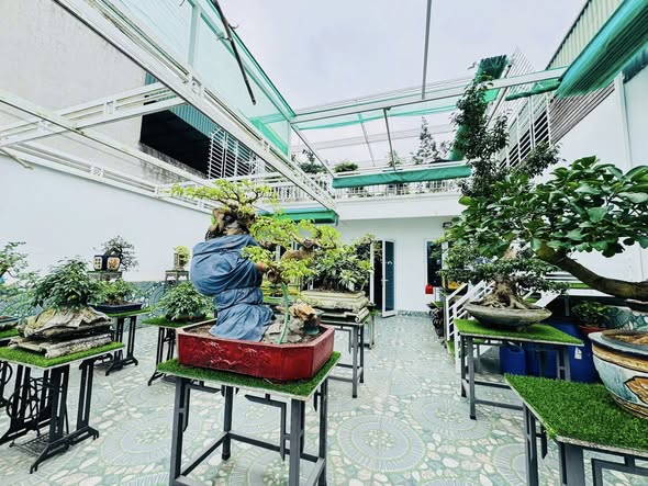 Nhà phố Trần Bình Trọng, Phường Đông Sơn, 185m² giá 8 tỷ - Khu dân cư an ninh tốt!