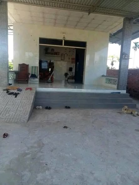 Đất Vĩnh Thành Chợ Lách 1400m² giá 1.4 tỷ - Sổ hồng chính chủ, đầu tư lý tưởng!