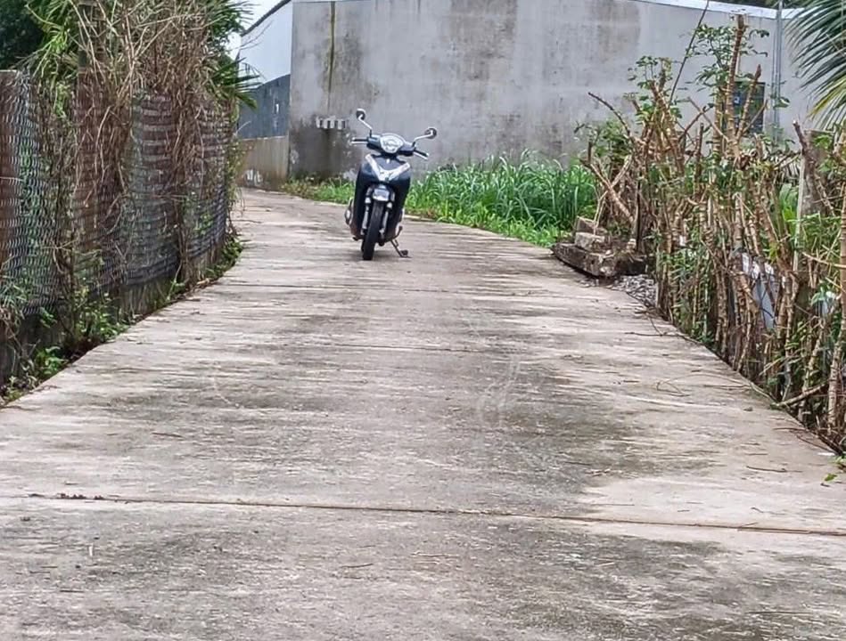 Đất nền khu Tịnh Phong 130m² giá chỉ 550 triệu - Cơ hội đầu tư tuyệt vời!