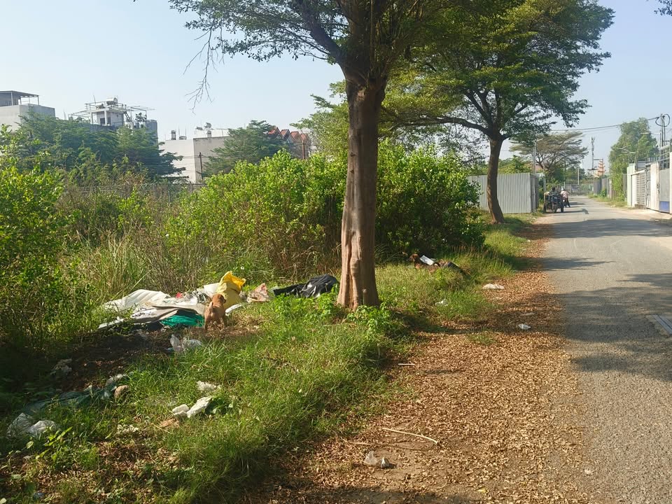 Đất nền Nhơn Đức Nhà Bè 6500m² giá 8.5 tỷ - Sổ hồng riêng, pháp lý rõ ràng!