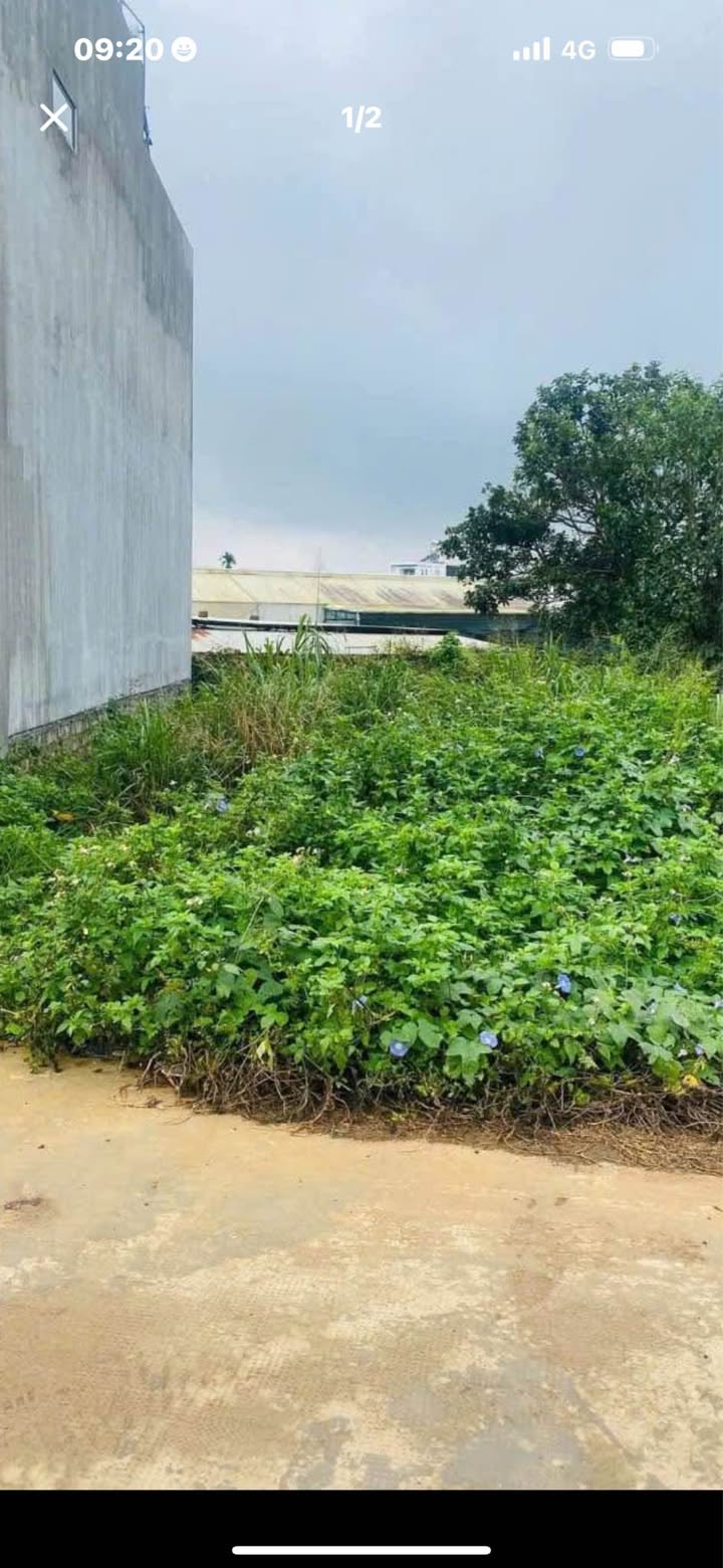 Đất hẻm Lý Thái Tổ, Đức Trọng 145m² giá 1.8 tỷ - Vị trí đắc địa gần chợ!