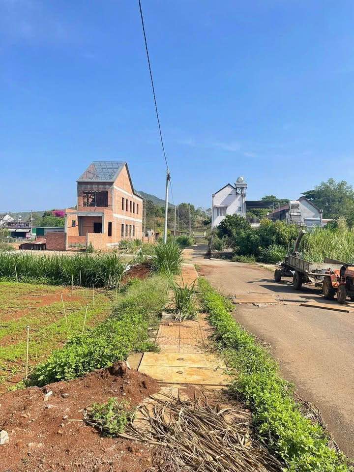 Đất nền Hiệp Thạnh 125m² giá 1.24 tỷ - Đối diện trường THCS An Hiệp!