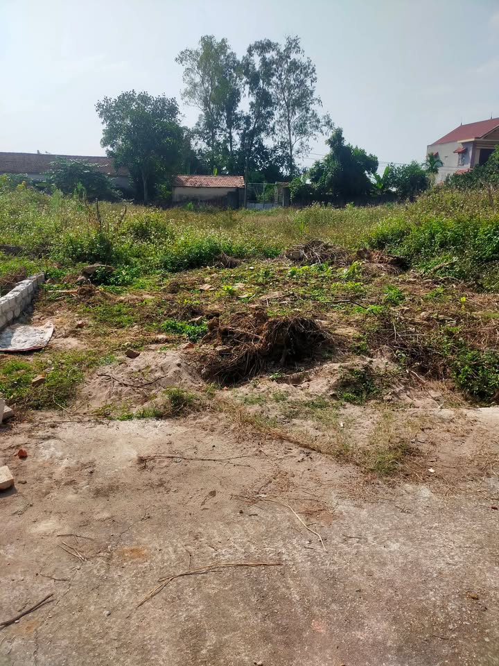 Đất thổ cư 126m² tại Việt Hùng, Hiệp Hoà, Bắc Ninh - Giá chỉ 900 triệu!