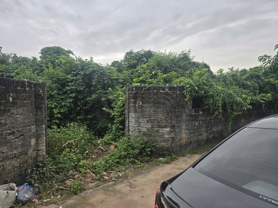 Đất thổ cư thôn Khánh, Lương Phong 274m² giá 1.2 tỷ - Đầu tư sinh lời ngay!