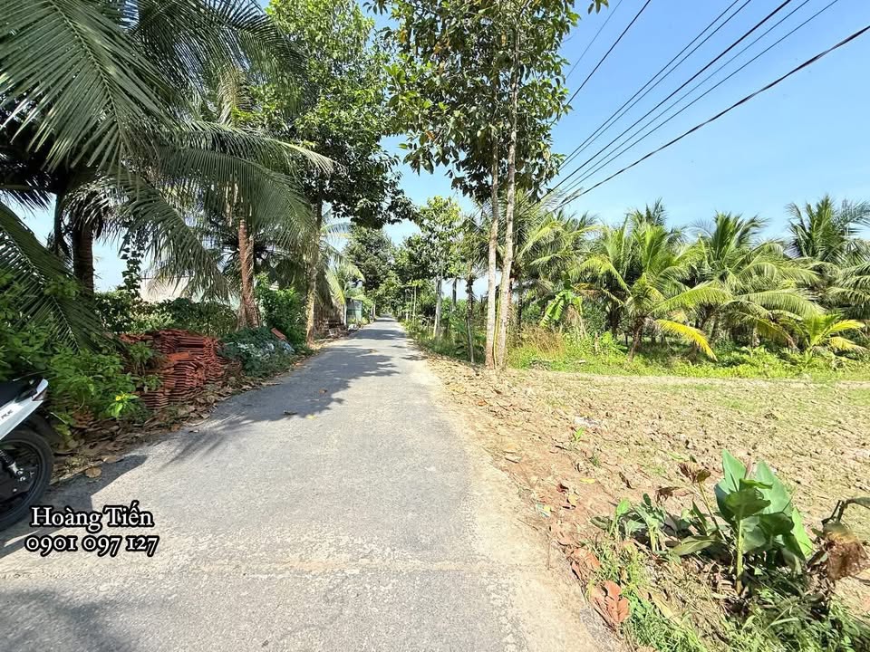 Đất nền Đông Thạnh Vĩnh Long 195m² giá 650 triệu - Đường ô tô vào tận nơi!