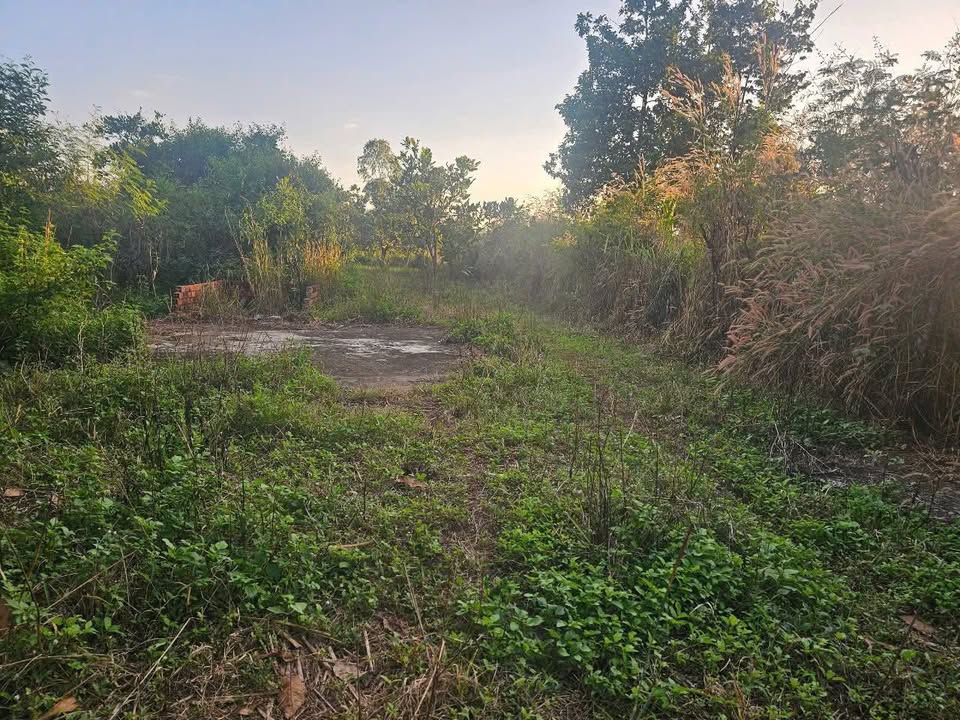 Đất nền Chơn Thành 4.4ha giá 800 triệu - Cơ hội đầu tư tuyệt vời!