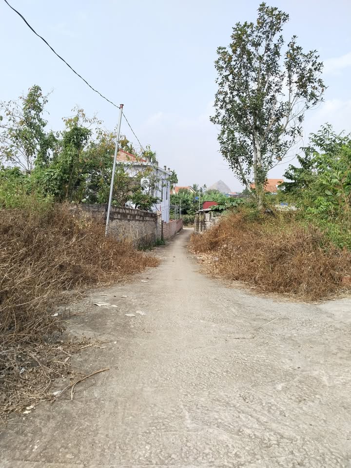 Đất thổ cư Liên Khê 1600m² - Cơ hội đầu tư phân lô, tách thửa!