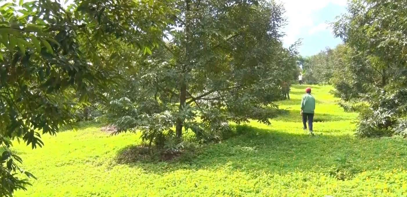 Đất nền Phường Bình Lộc 1040m² giá chỉ 700 triệu - Tiềm năng tăng giá mạnh!