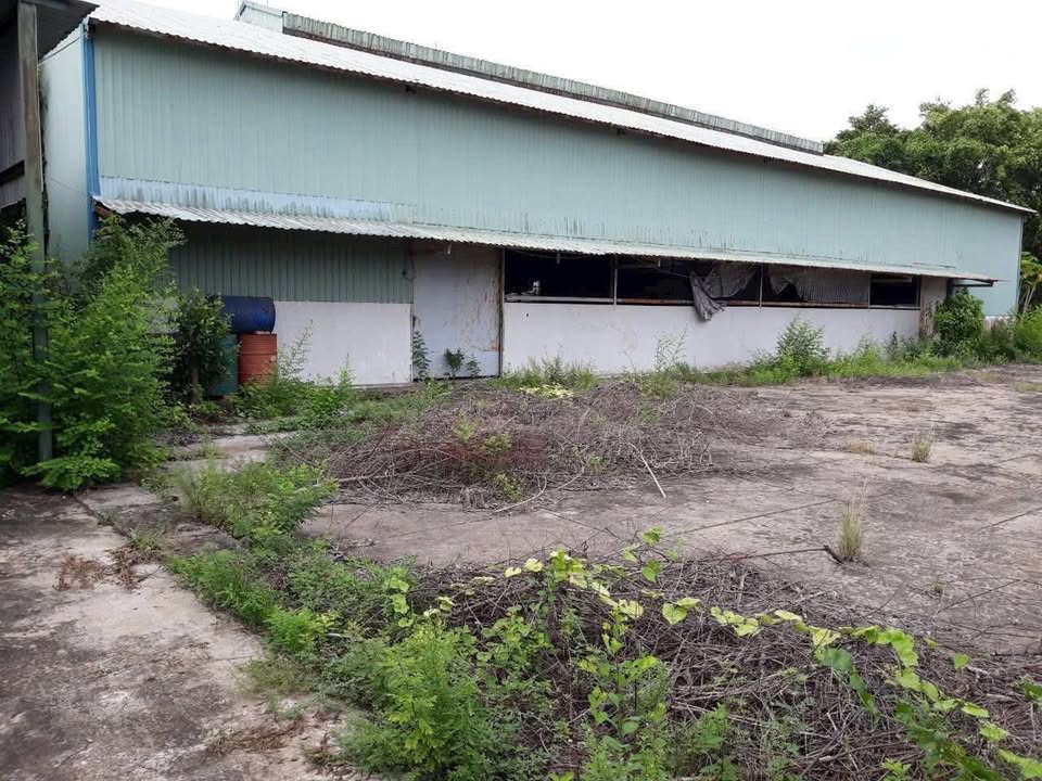 Bán đất + xưởng mặt tiền Quốc lộ 62 – Thạnh Hóa, Long An 12.550m² giá 69.9 tỷ - Đầu tư sinh lời ngay!