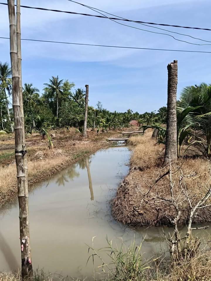 Đất nền Lộc Thuận, Vĩnh Long 50000m² giá 1.275 tỷ - Cơ hội đầu tư hấp dẫn!