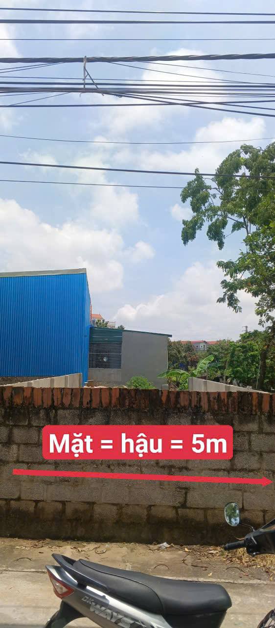 Đất nền Tân Việt, Yên Mỹ 90m² giá chỉ 1.x tỷ - Mặt tiền đẹp, gần chợ!