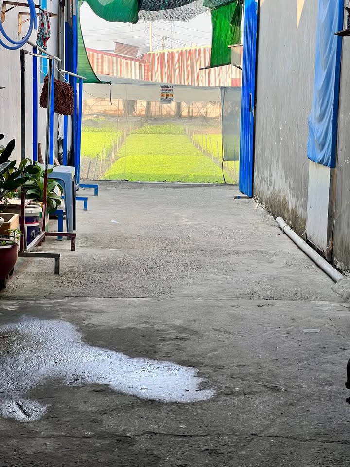 Nhà cho thuê Hiệp Thành Quận 12 24m² giá 3.5 triệu - Sẵn sàng vào ở ngay!