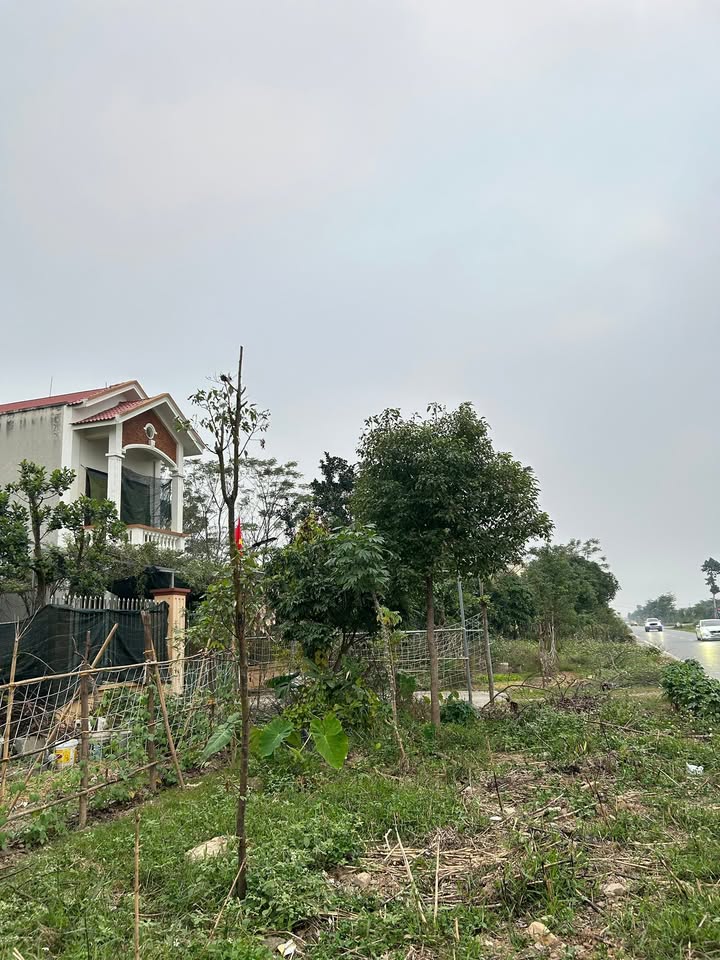 Đất thổ cư tại Tân Thanh 275m² - Sổ đỏ chính chủ, giá thỏa thuận!