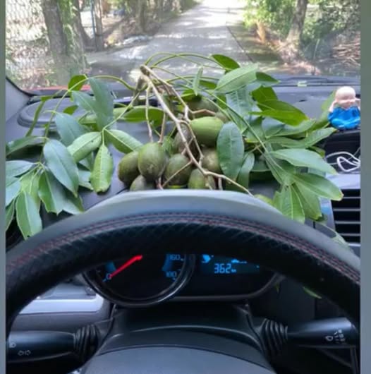 Đất nền Trung An Mỹ Tho 84.28m² chỉ 500 triệu - Cơ hội đầu tư lý tưởng!