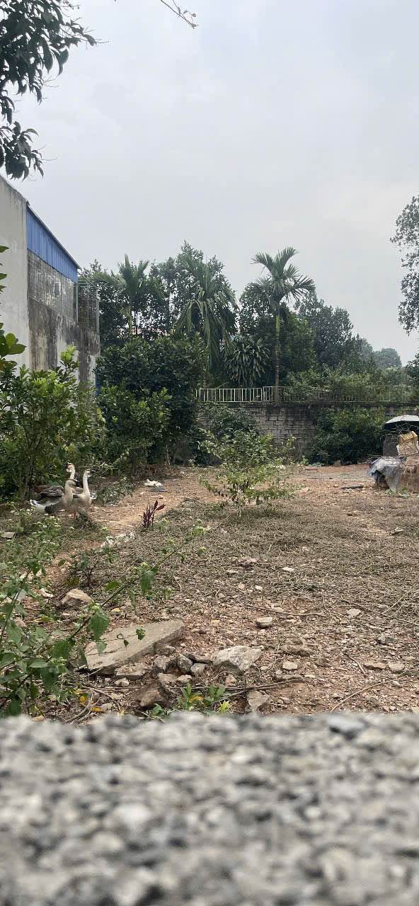 Đất nền đường Tân Cương, Thái Nguyên 70m² giá 1.4 tỷ - Đầu tư sinh lời ngay!