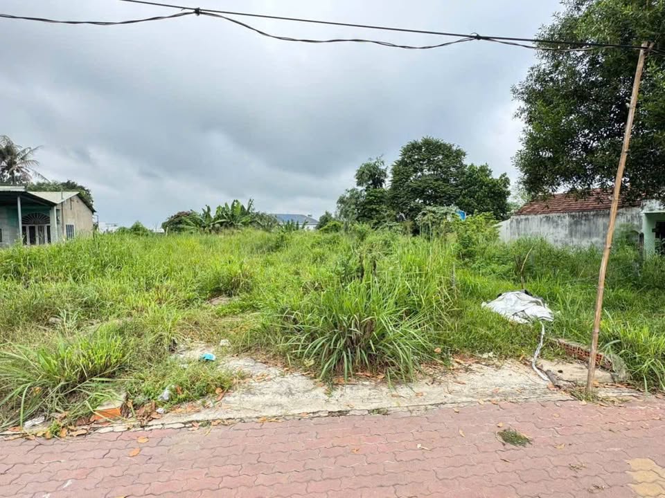 Đất Mặt Tiền Nguyễn Chí Thanh, Tân An, Thủ Dầu Một 192m² - Cơ hội đầu tư hiếm có!