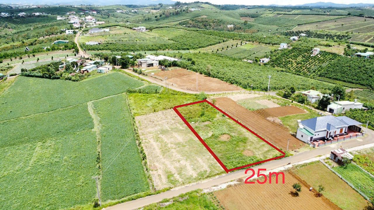 Đất nền 1513m² tại Lộc Quảng, Bảo Lâm - Giá 2.6 tỷ, cơ hội đầu tư hấp dẫn!