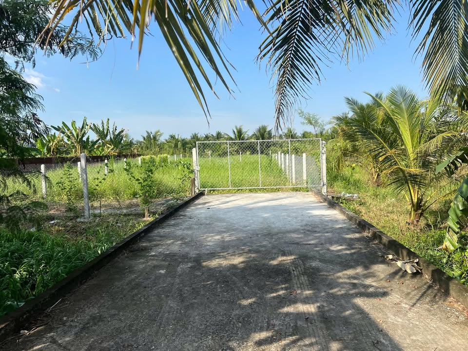 Đất nền mặt tiền Đường huyện 90C, Mỹ Tho 150m² giá 1.2 tỷ - Cơ hội đầu tư tuyệt vời!